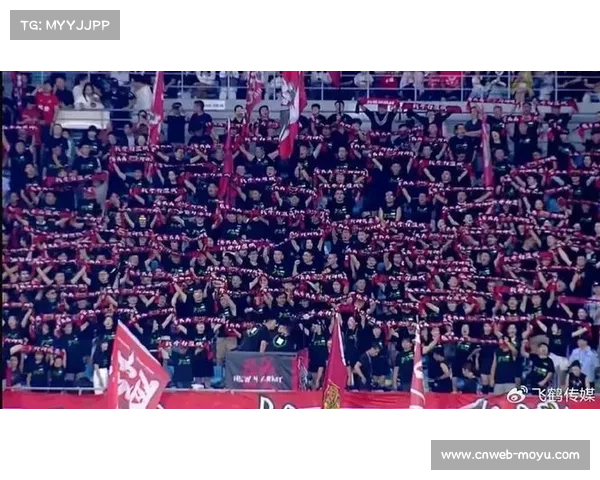 德甲球迷重返看台呐喊助威恢宏声浪点燃赛场热血氛围重现